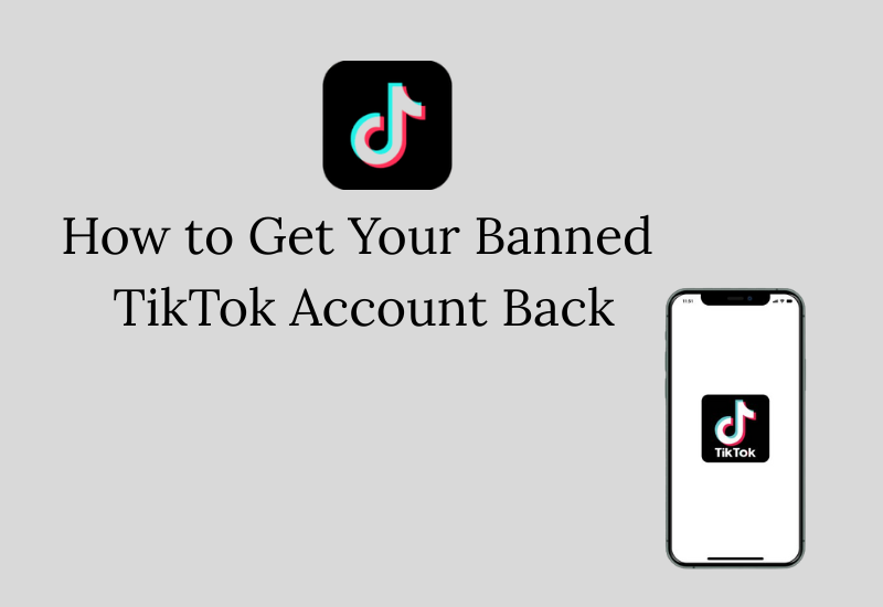 Guide explaining steps and tips to recover a banned TikTok account, including appealing the decision and contacting TikTok support.